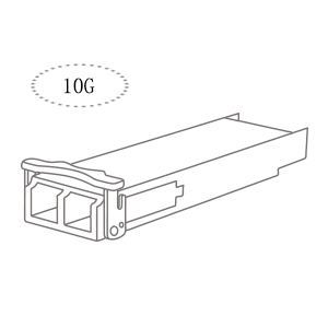XFP 10GBASE